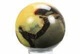 Polished Septarian Sphere - Madagascar #289953-1